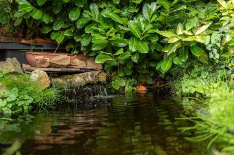 DSC_1144.jpg