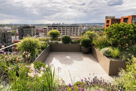 Roof Terrace