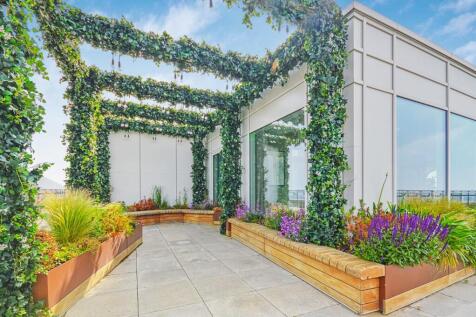 Roof Terrace