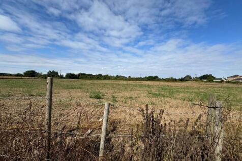 Open Field Views 