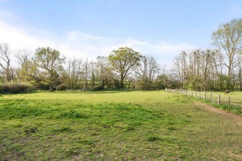 Field