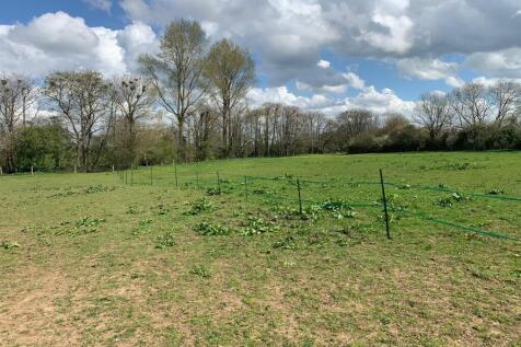 Field