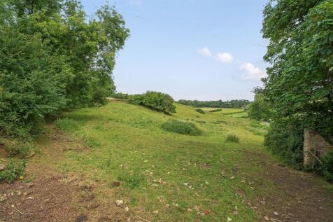 Field
