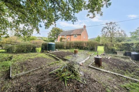 Kitchen Garden