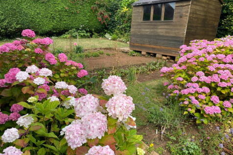 Property Image 31