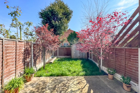 garden