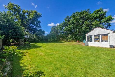 rear of the garden