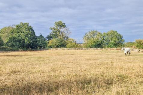 Field Views