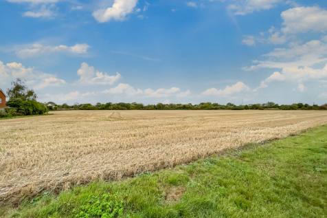 Open Fields
