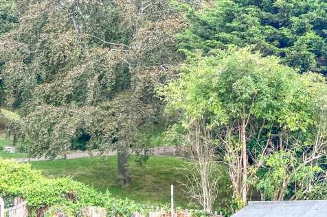 View from Bedroom Window