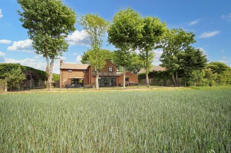 Property Image 51