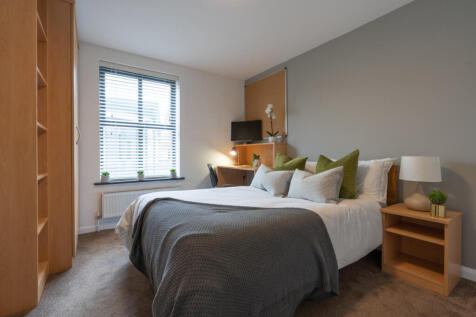 Hope Court Flat 10 living room 3