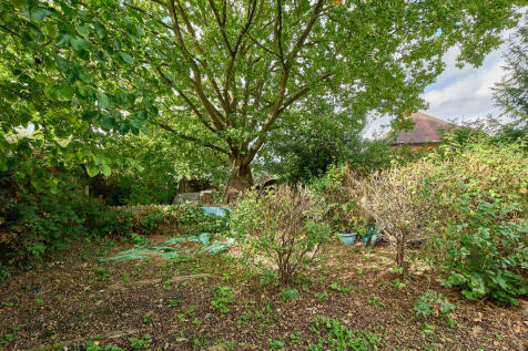 P1608514 T202509301930.jpg