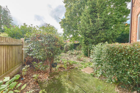 P1608521 T202509301930.jpg