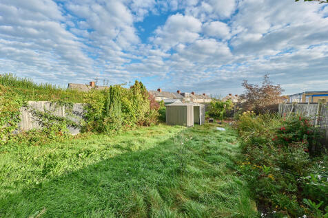 P1608346 T202509301919.jpg