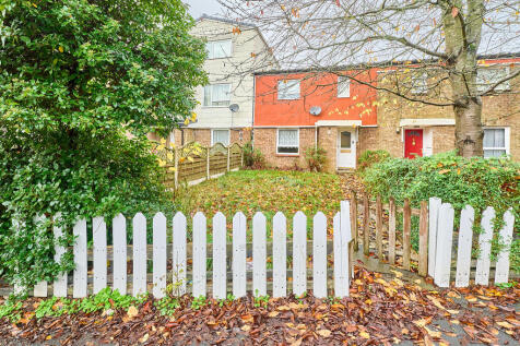 P1615736 T202511111710.jpg