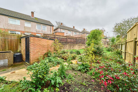 P1615806 T202511111714.jpg