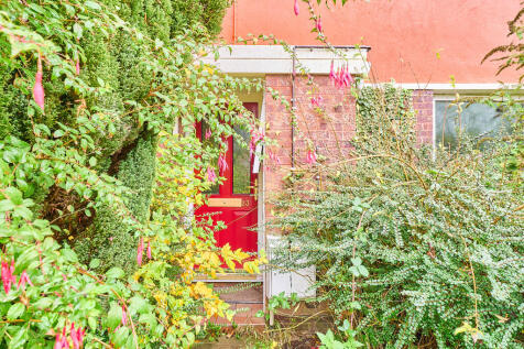 P1615688 T202511111708.jpg