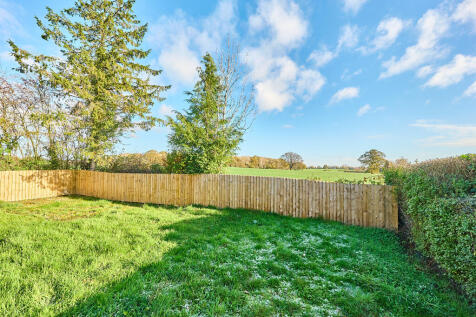 P1617212 T202511201649.jpg