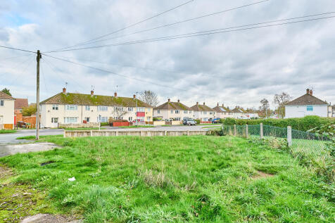 P1617044 T202511191612.jpg