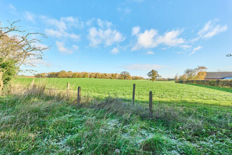 P1617185 T202511201647.jpg