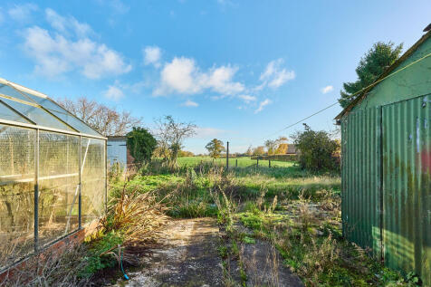 P1617170 T202511201646.jpg