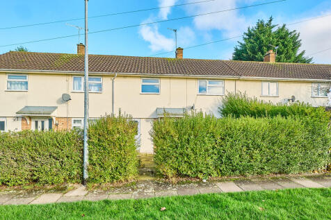 P1616974 T202511191610.jpg