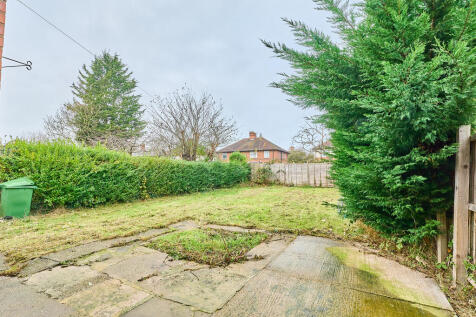 P1628493 T202511221527.jpg