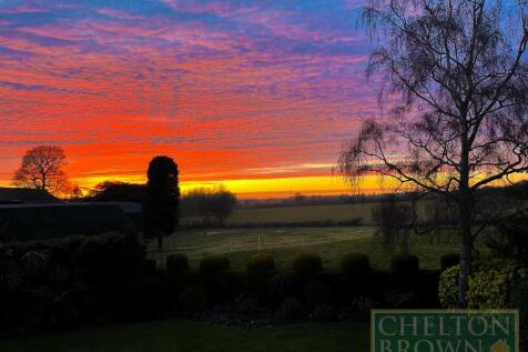 Sunset View