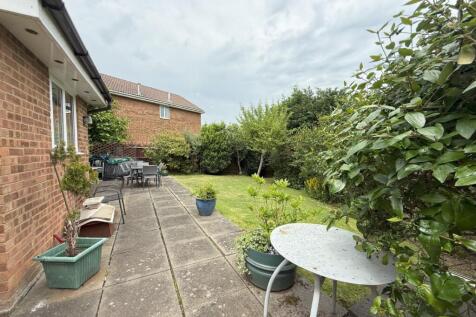 Garden2