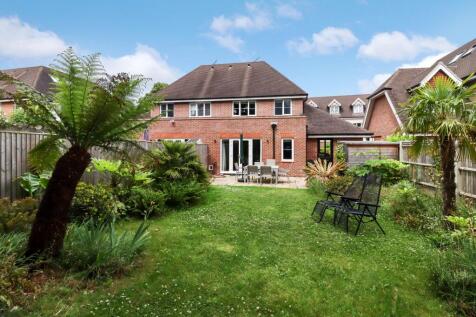 Property Image 26