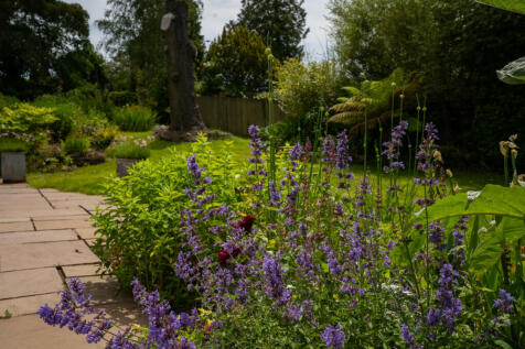 Property Image 42