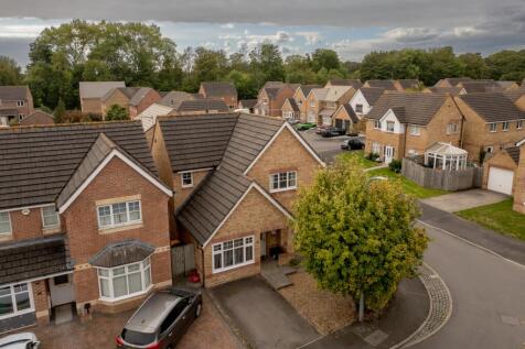 Edney View-2