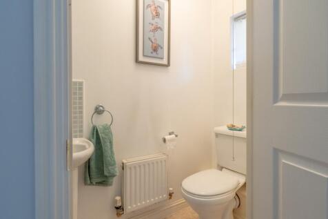 Edney View-21