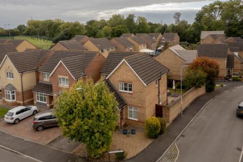 Edney View-3