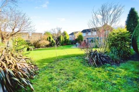 Property Image 28