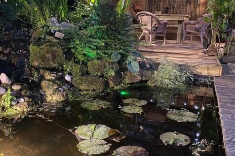 Pond