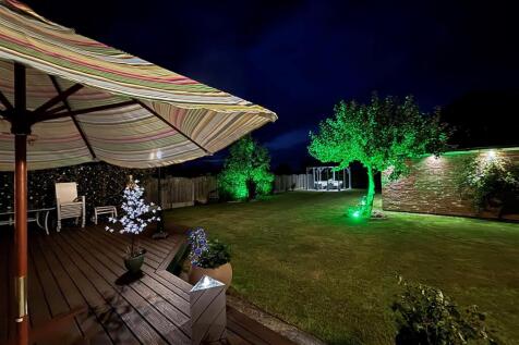 Rear Garden Night Time