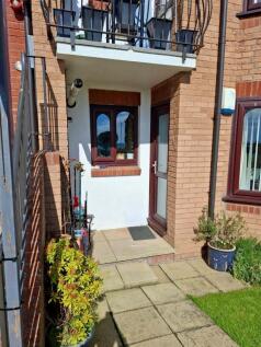 Front External