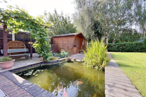 Pond