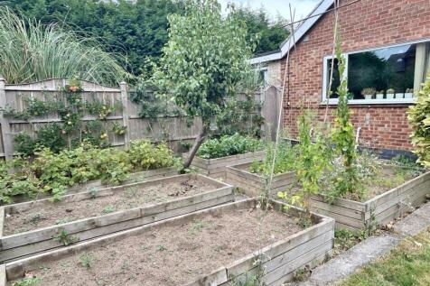 Side Garden