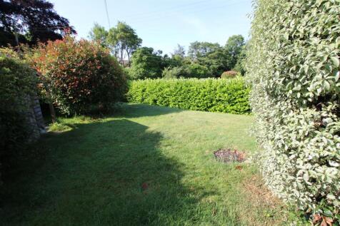 Garden 1.JPG