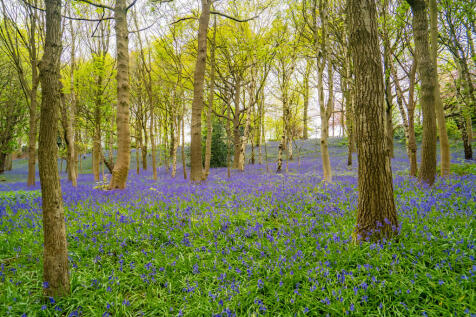 _DSC4811-HDR