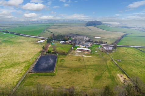 DJI_0450