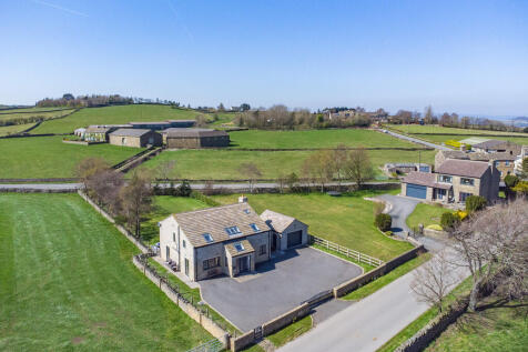 DJI_0496