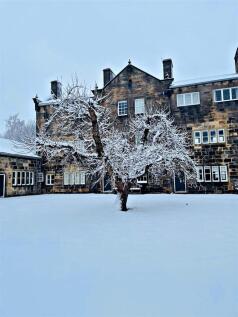 snow picture.jpg
