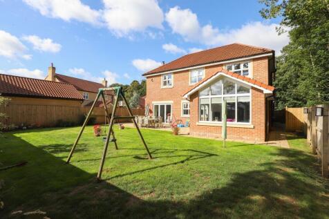 Property Image 43
