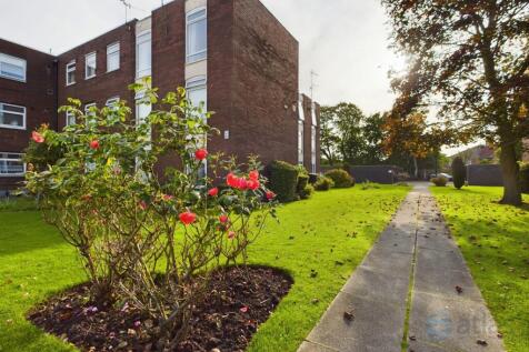 Communal Garden