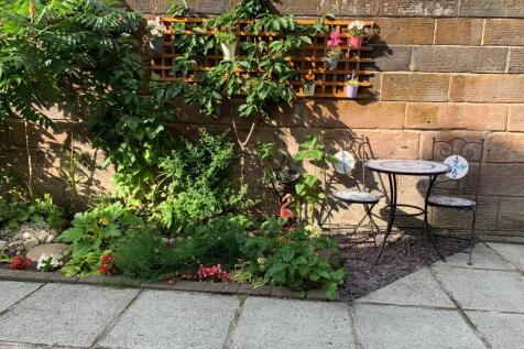Back Garden/Yard