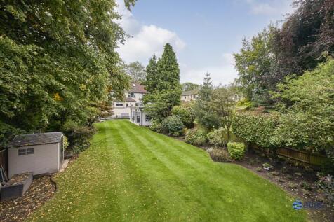 Back Garden